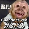 RES Cuando te veo babeo por donde meo