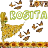 LOVE ROSITA