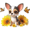 Chihuahua flores amarillas 🏵🌻 16