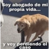 Más REACCIONES #6 🤖 9