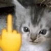 📮💥Reaction MEMES 3💥📮 17