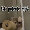 🧿Memes Pop 11😎🤣 15