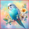 💥Animalitos💥 20