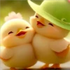 Bonitos cute 🐻 🐼 17
