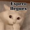 Espero llegues
