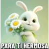 Bonitos cute 🐻 🐼 21