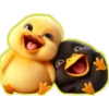 Patitos💠💞1🇵🇪Clásica 14