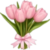iPhone emoji Primavera2 🌸🩷🌸 16