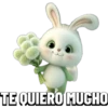Bonitos cute 🐻 🐼 22