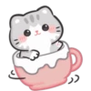 🐱🌟 MaRcUs CaT 🌟🐱 24