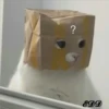 4🐈Meowcitos 🐱 18