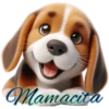 Perritos bonitos💞8🇵🇪Clásica 23