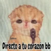 🧿Memes Pop 11😎🤣 16