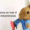 Animales cura depresión🦦 12