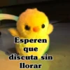 🧿Memes Pop 11😎🤣 18