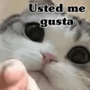 Usted me gusta