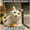 Meow Memes-2😼 16