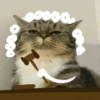0000