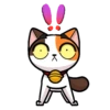 Everyday Kashi Cats 1 10