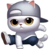 Gatitos Mix 🐱🐈 2 14