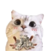 Michis random🐈🐈‍⬛ 22