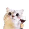 Michis random🐈🐈‍⬛ 23