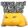 DESDE AQUÍ LTE VEO LO. PENDEJO
