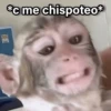 *c me chispoteo