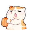 Gatitos amorosos💞1🇵🇪Clásica 21