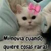 Mi novia cuando quiere cosas raras