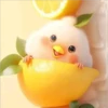 Bonitos cute 🐻 🐼 26