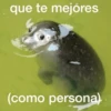 🐶🐱🐵 ANIMALITOS 🐵🐱🐶 16