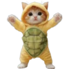 Gatitos Mix 🐱🐈 1 15