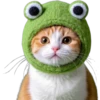Gatitos Mix 🐱🐈 2 15