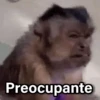 Preocupante