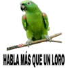 MEMESILLOS 7 CLÁSICA 21