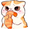 Gatitos amorosos💞1🇵🇪Clásica 23