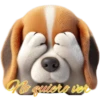 Perritos bonitos💞8🇵🇪Clásica 26
