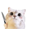 Michis random🐈🐈‍⬛ 24