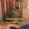 Más REACCIONES #6 🤖 14