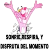 MEMESILLOS 7 CLÁSICA 22