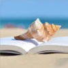 Old books 26