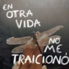 🧿Frasesitas 2📄🗞️ 23
