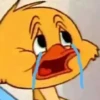 🧿Memes Pop 12😎🤣 25