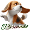 Perritos bonitos💞8🇵🇪Clásica 28
