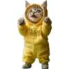 Gatitos Mix 🐱🐈 1 18