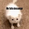 🐶🐱🐵 ANIMALITOS 🐵🐱🐶 17