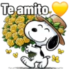 Te amito