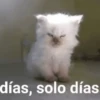 Más REACCIONES #6 🤖 19
