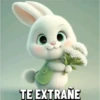 Bonitos cute 🐻 🐼 30